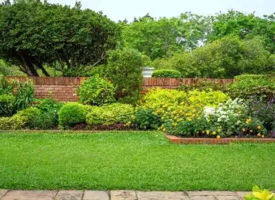 landscaping services Lake Buckhorn